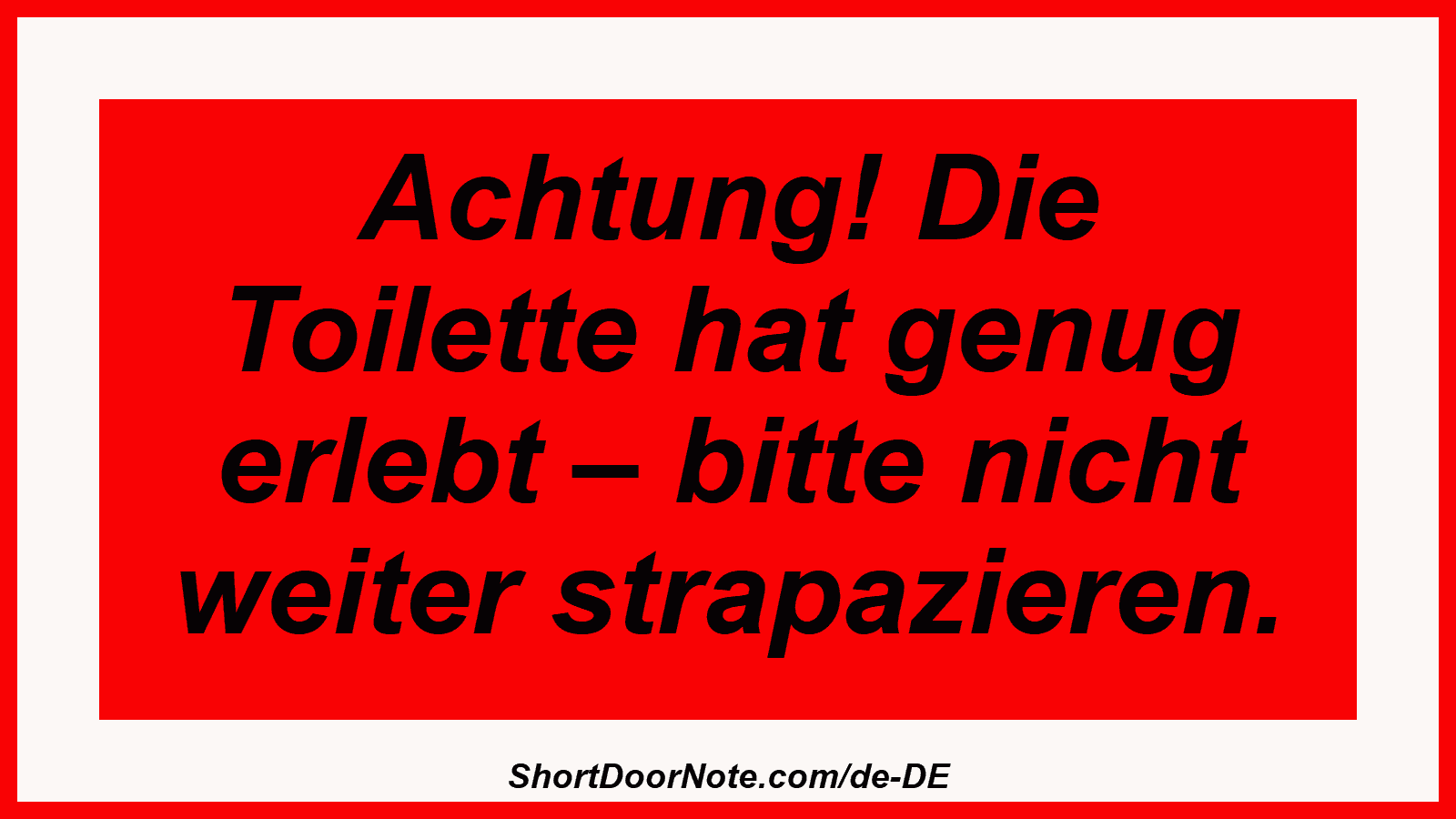 Achtung! Die Toilette hat genug erlebt – bitte nicht weiter strapazieren.

