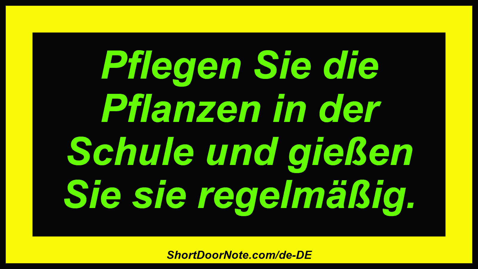Pflegen Sie die Pflanzen in der Schule und gießen Sie sie regelmäßig.
