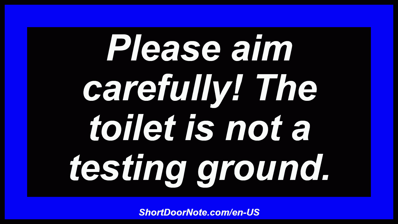 Please aim carefully! The toilet is not a testing ground.
