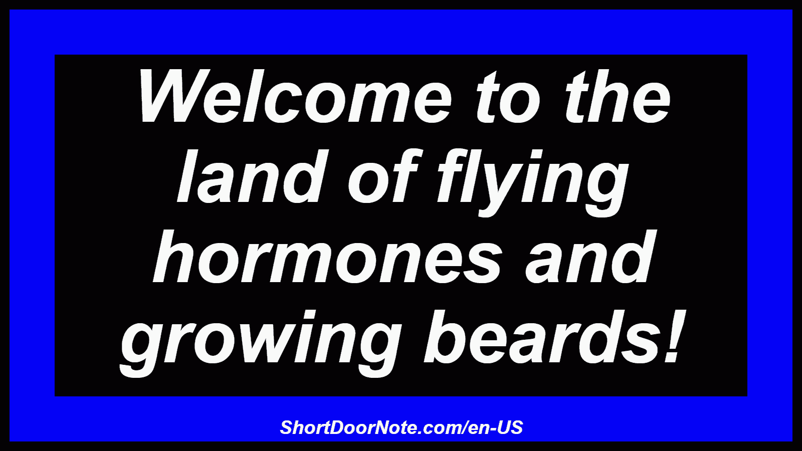Welcome to the land of flying hormones and growing beards!
