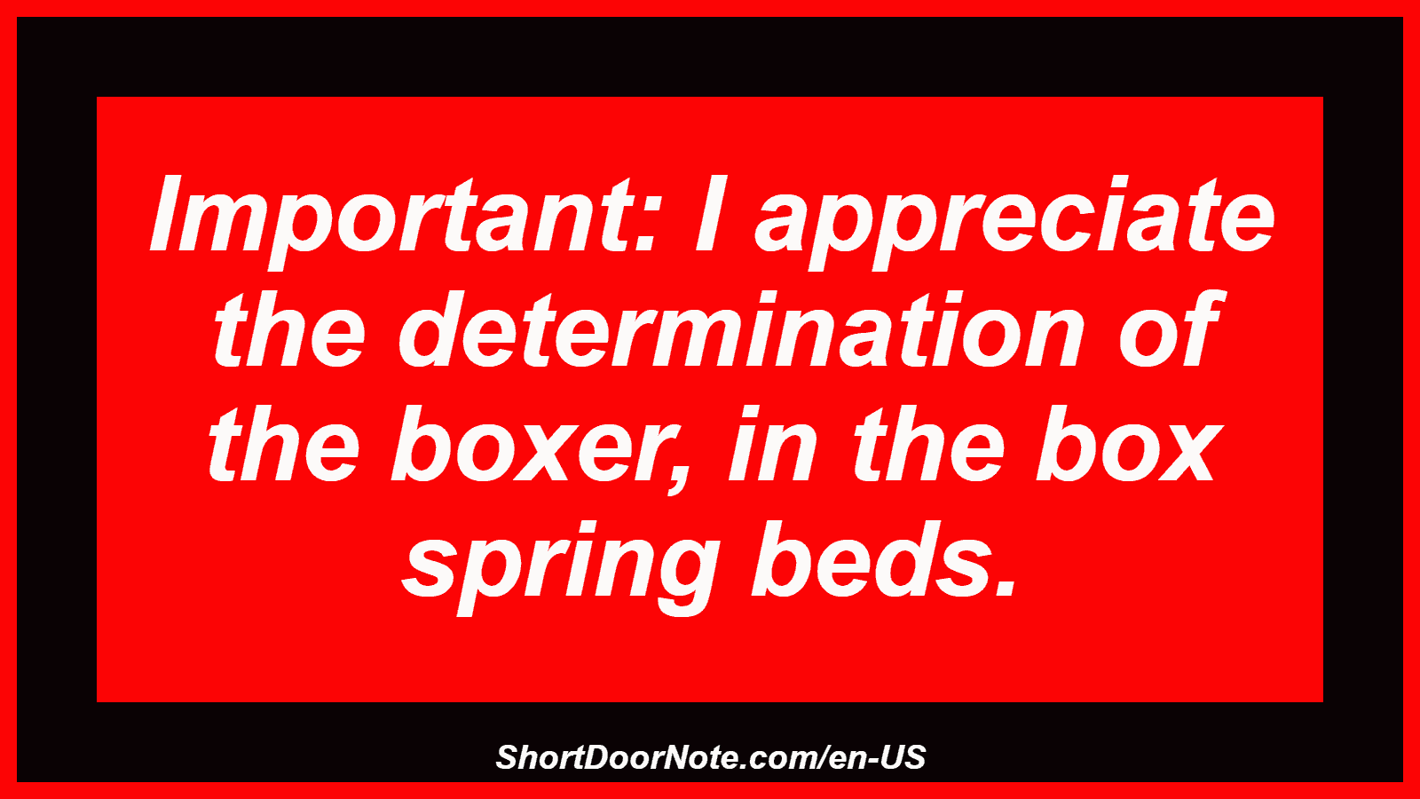 Important: I appreciate the determination of the boxer, in the box spring beds.

