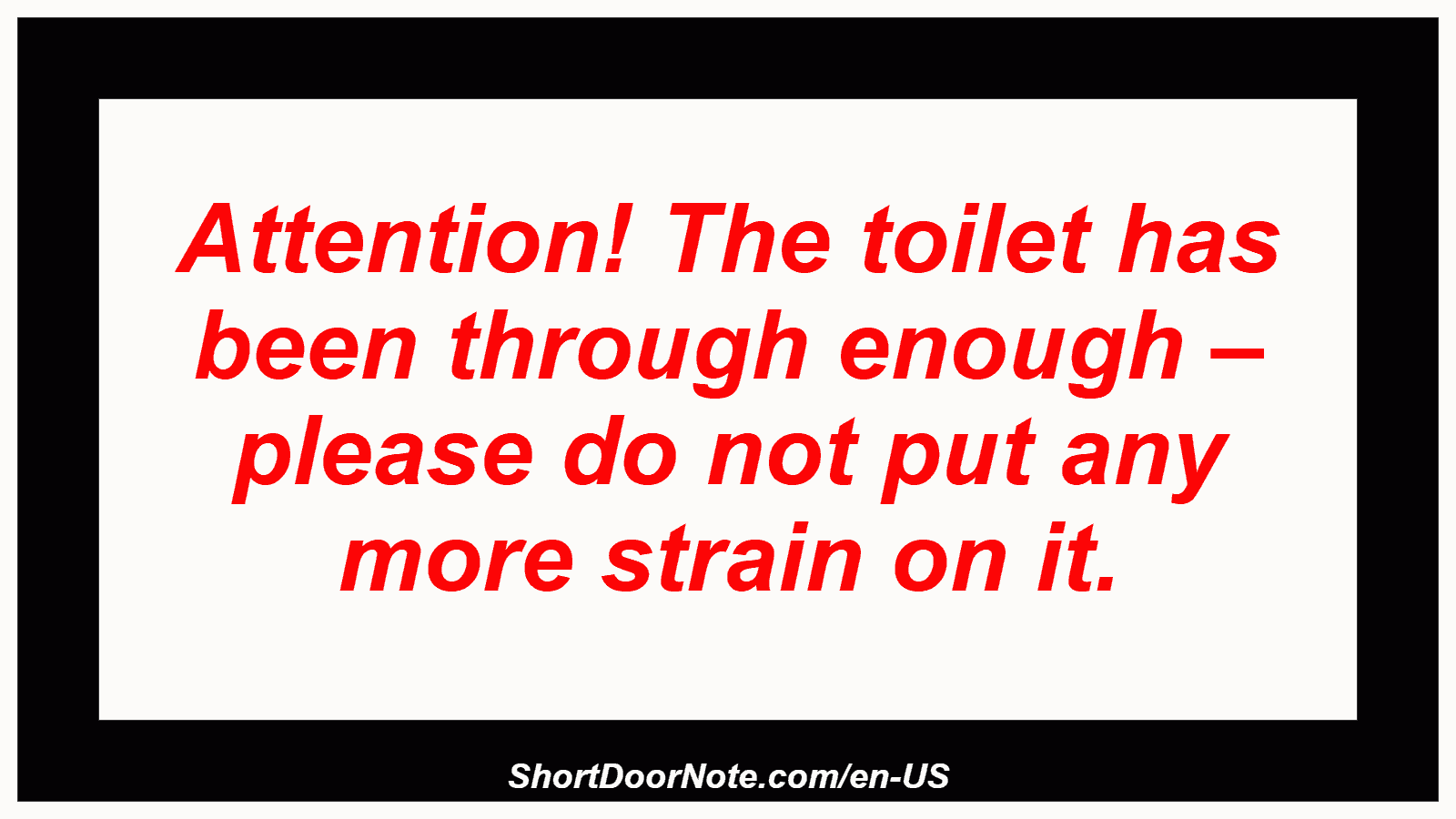 Attention! The toilet has been through enough – please do not put any more strain on it.
