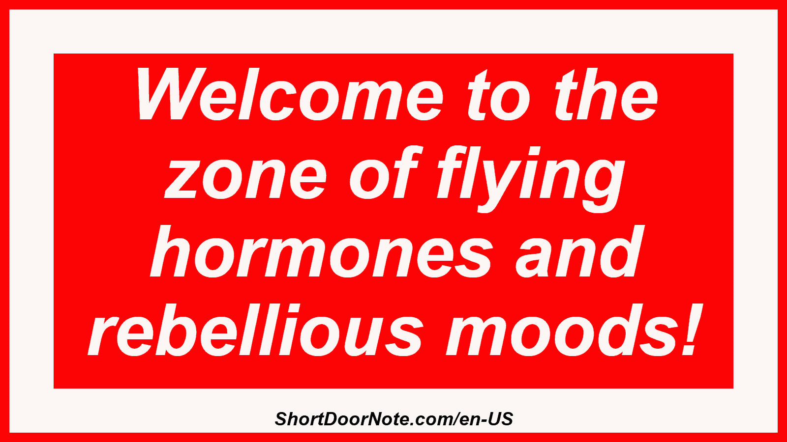 Welcome to the zone of flying hormones and rebellious moods!
