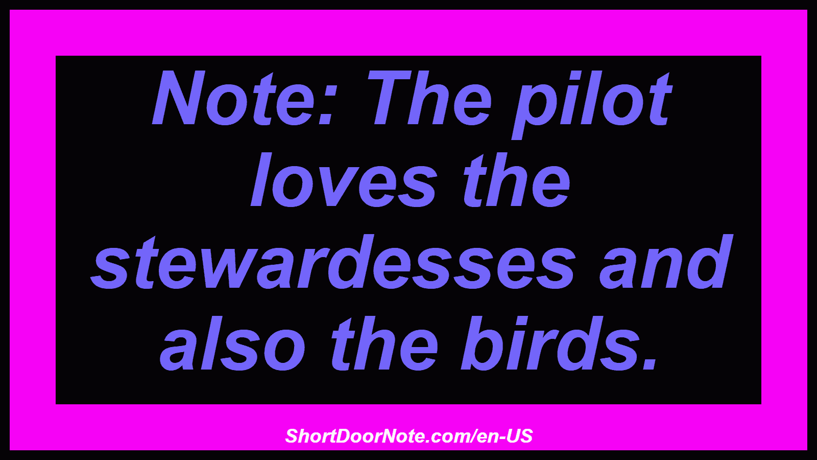 Note: The pilot loves the stewardesses and also the birds.
