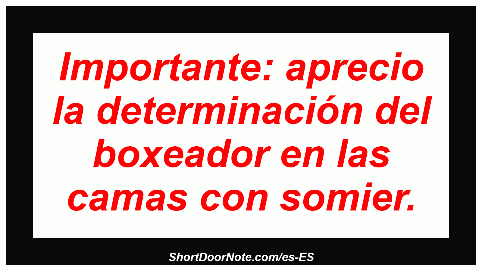 Importante: aprecio la determinación del boxeador en las camas con somier.

