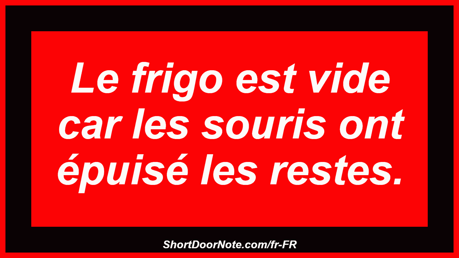 Le frigo est vide car les souris ont épuisé les restes.
