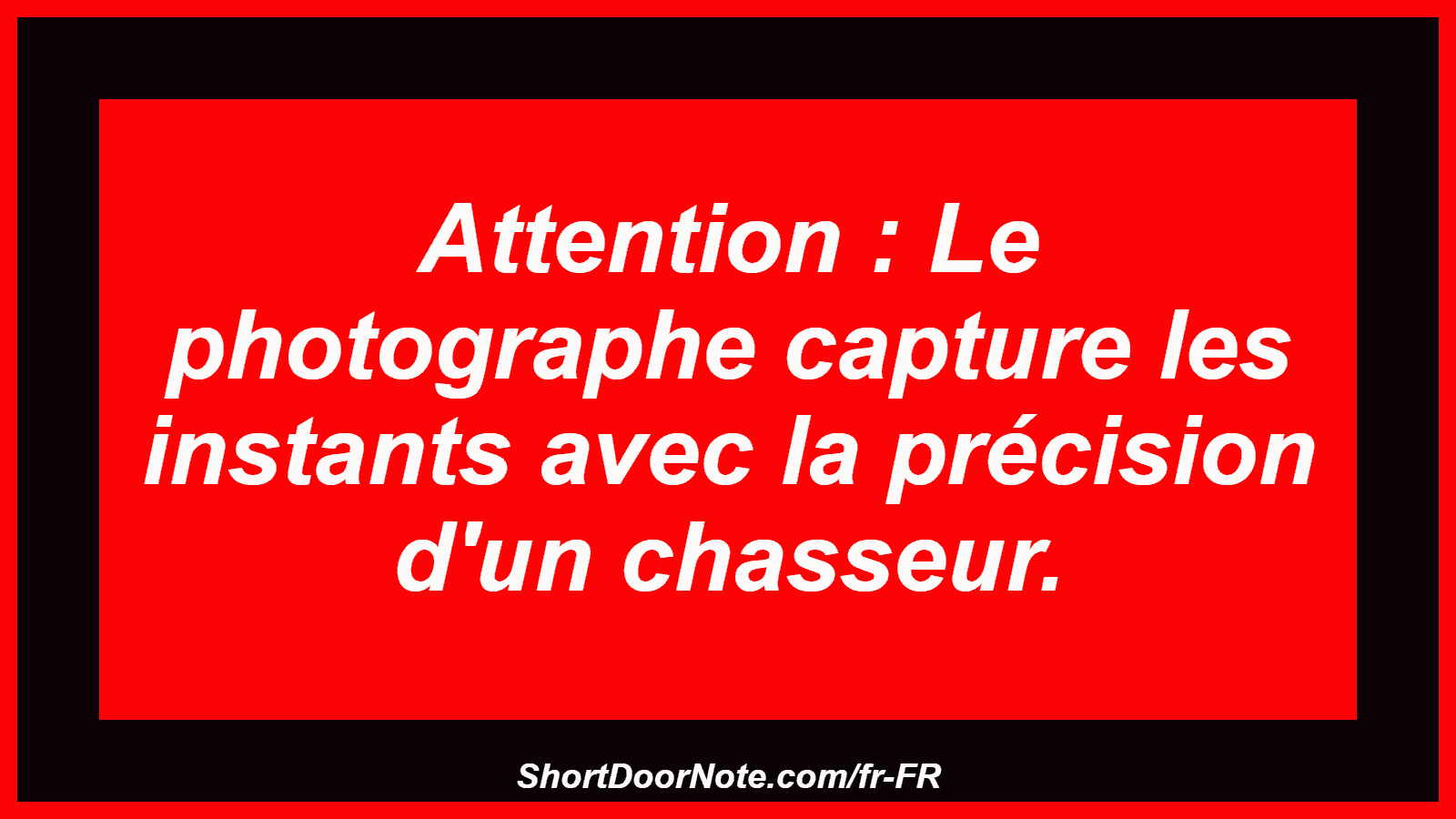 Attention : Le photographe capture les instants avec la précision d'un chasseur.
