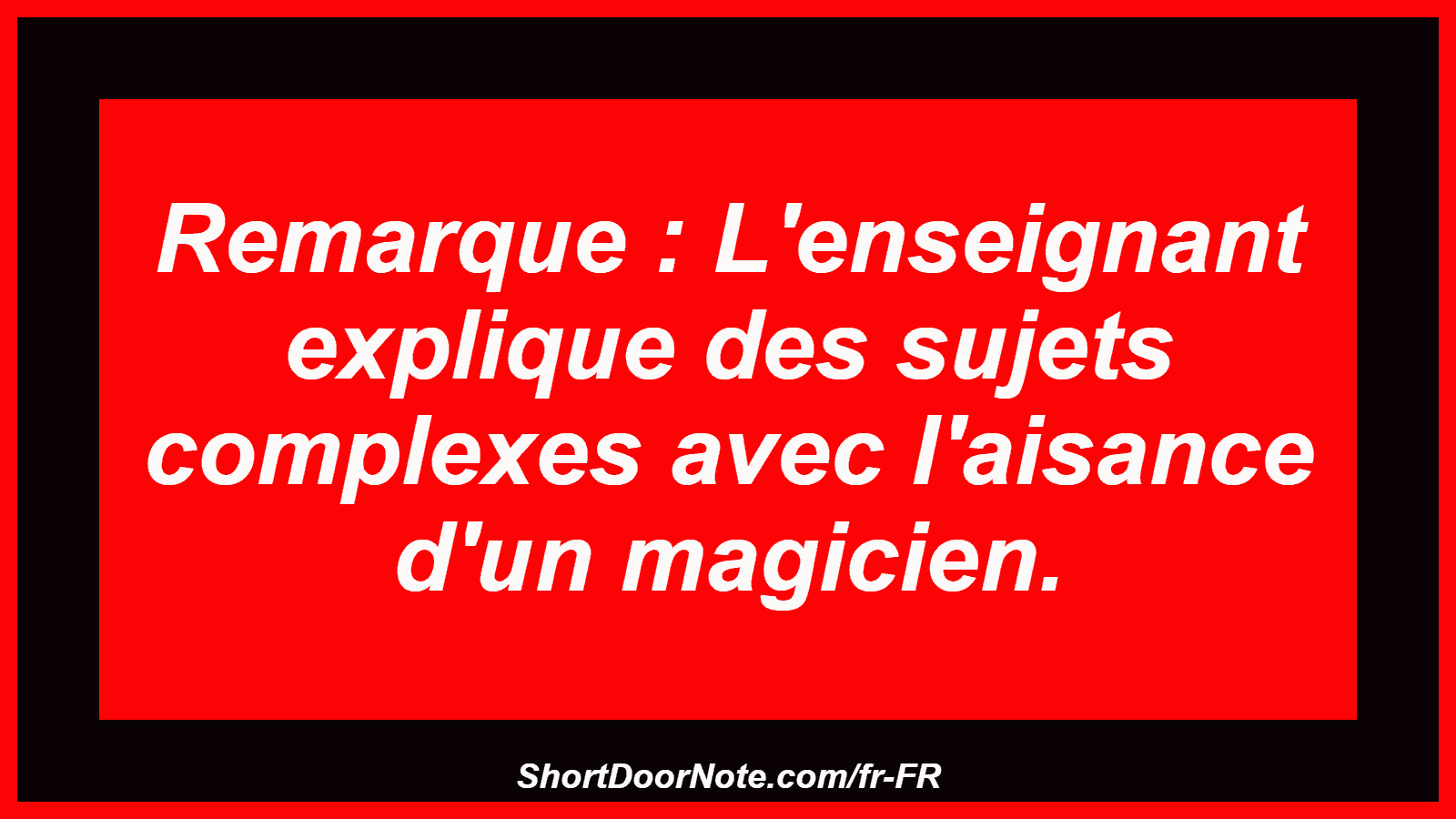 Remarque : L'enseignant explique des sujets complexes avec l'aisance d'un magicien.
