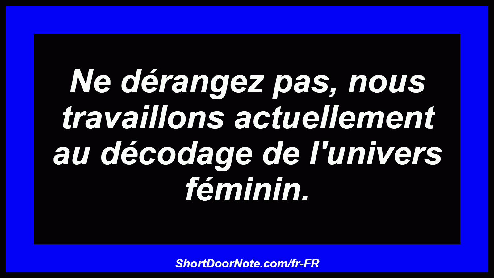 Ne dérangez pas, nous travaillons actuellement au décodage de l'univers féminin.
