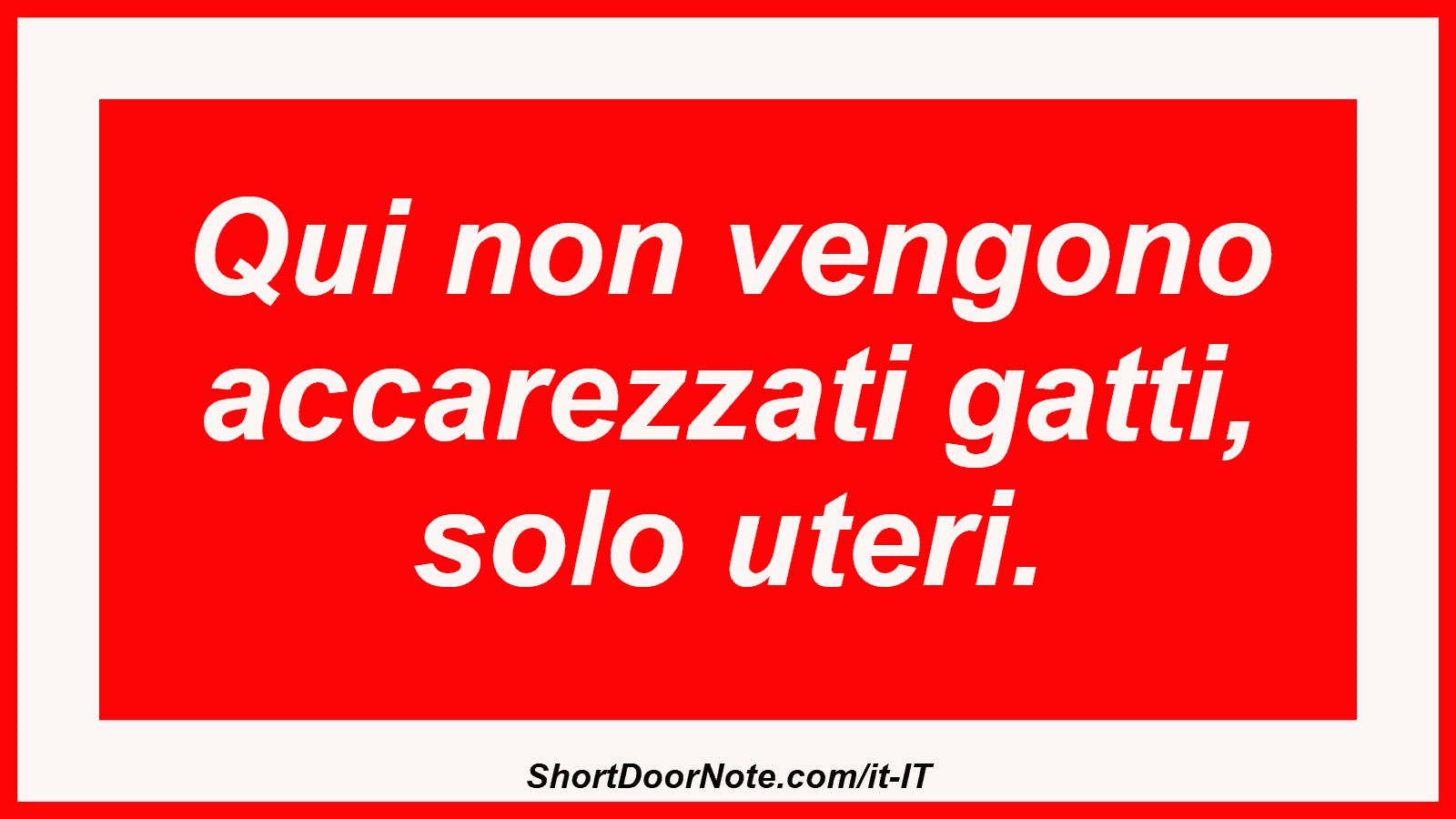 Qui non vengono accarezzati gatti, solo uteri.
