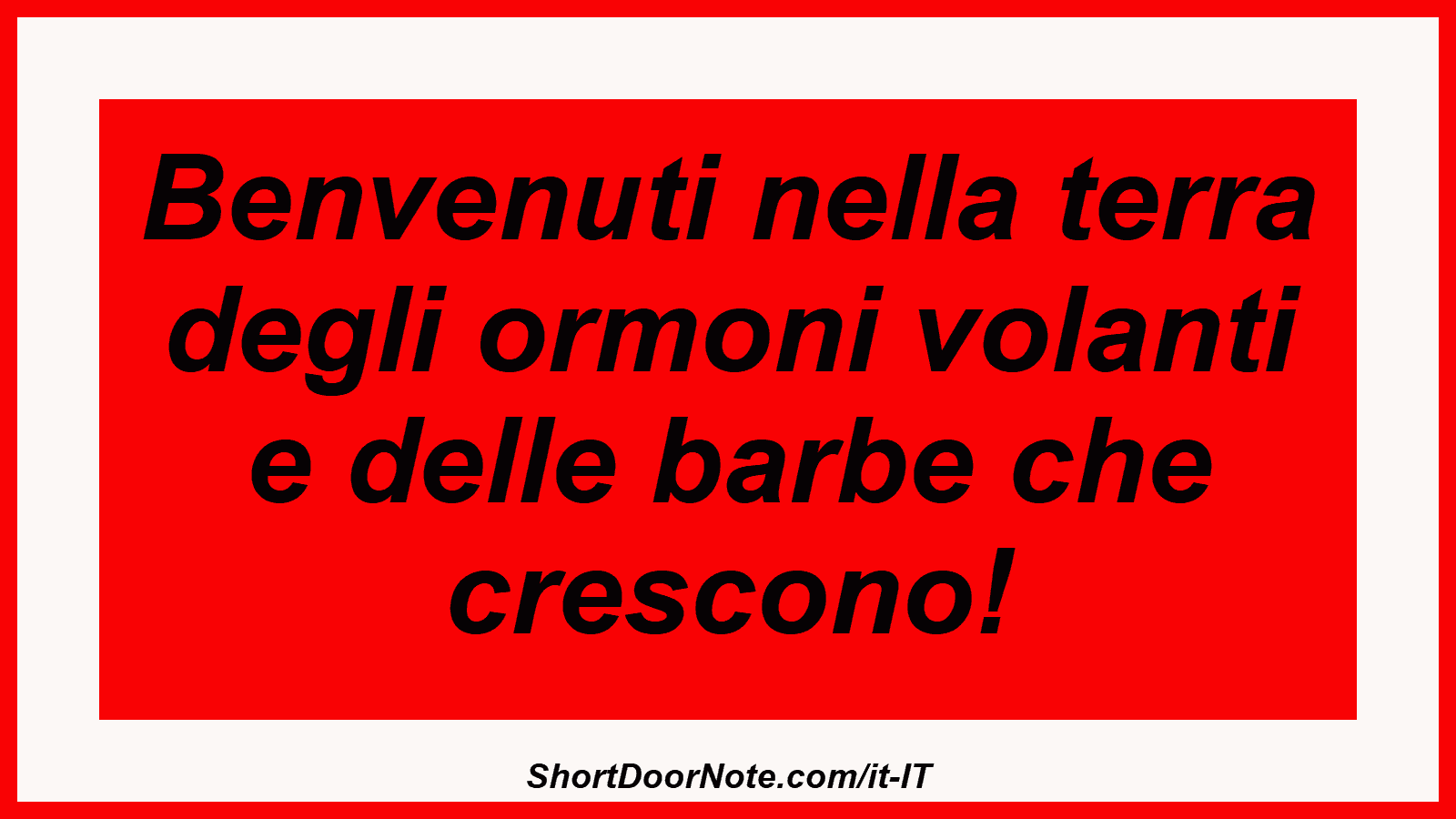 Benvenuti nella terra degli ormoni volanti e delle barbe che crescono!
