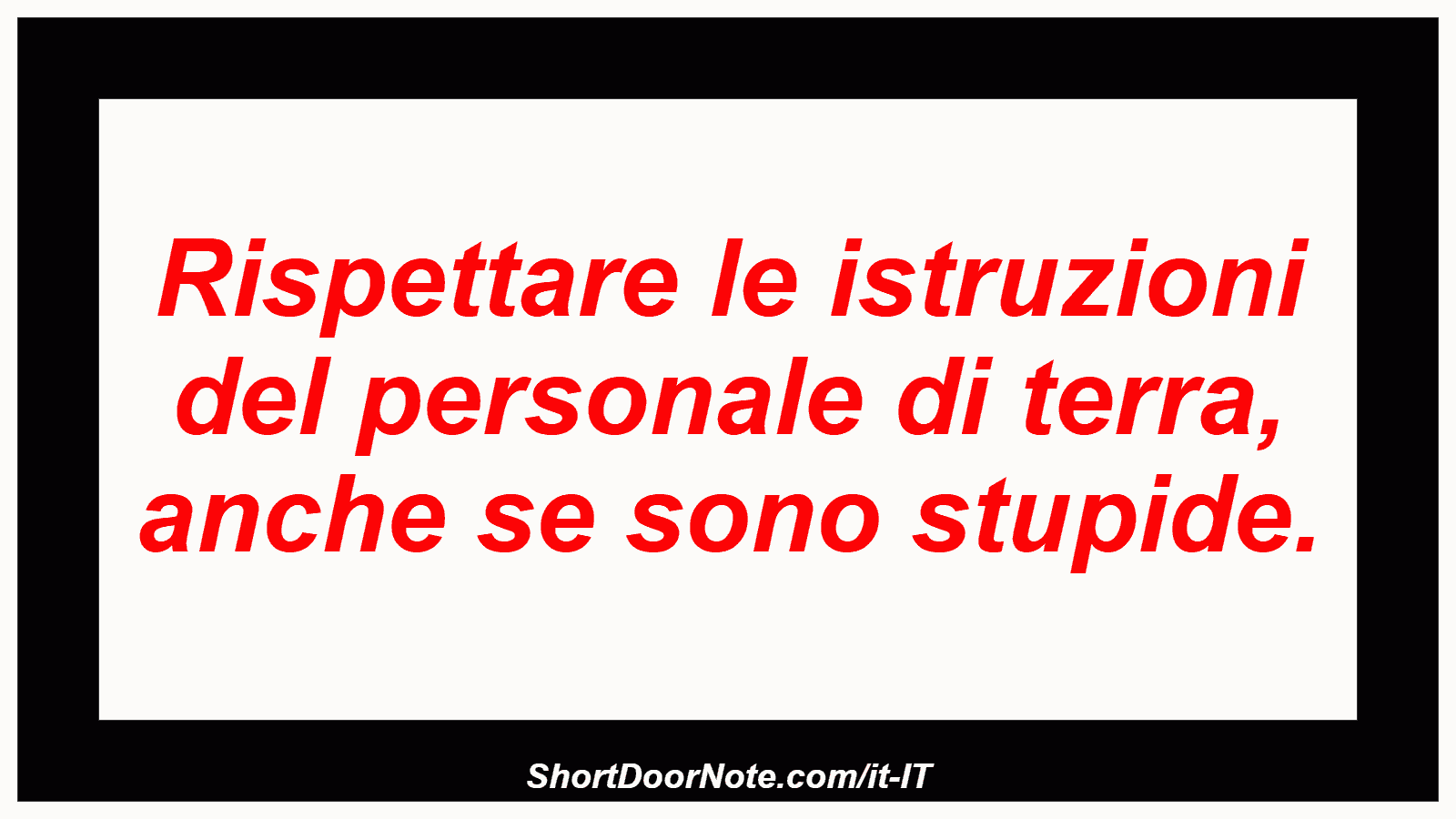 Rispettare le istruzioni del personale di terra, anche se sono stupide.
