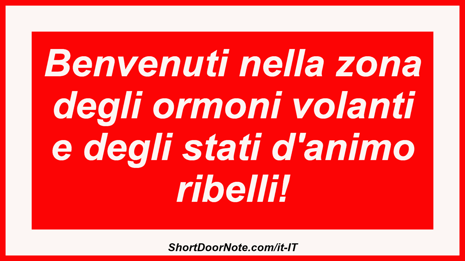 Benvenuti nella zona degli ormoni volanti e degli stati d'animo ribelli!

