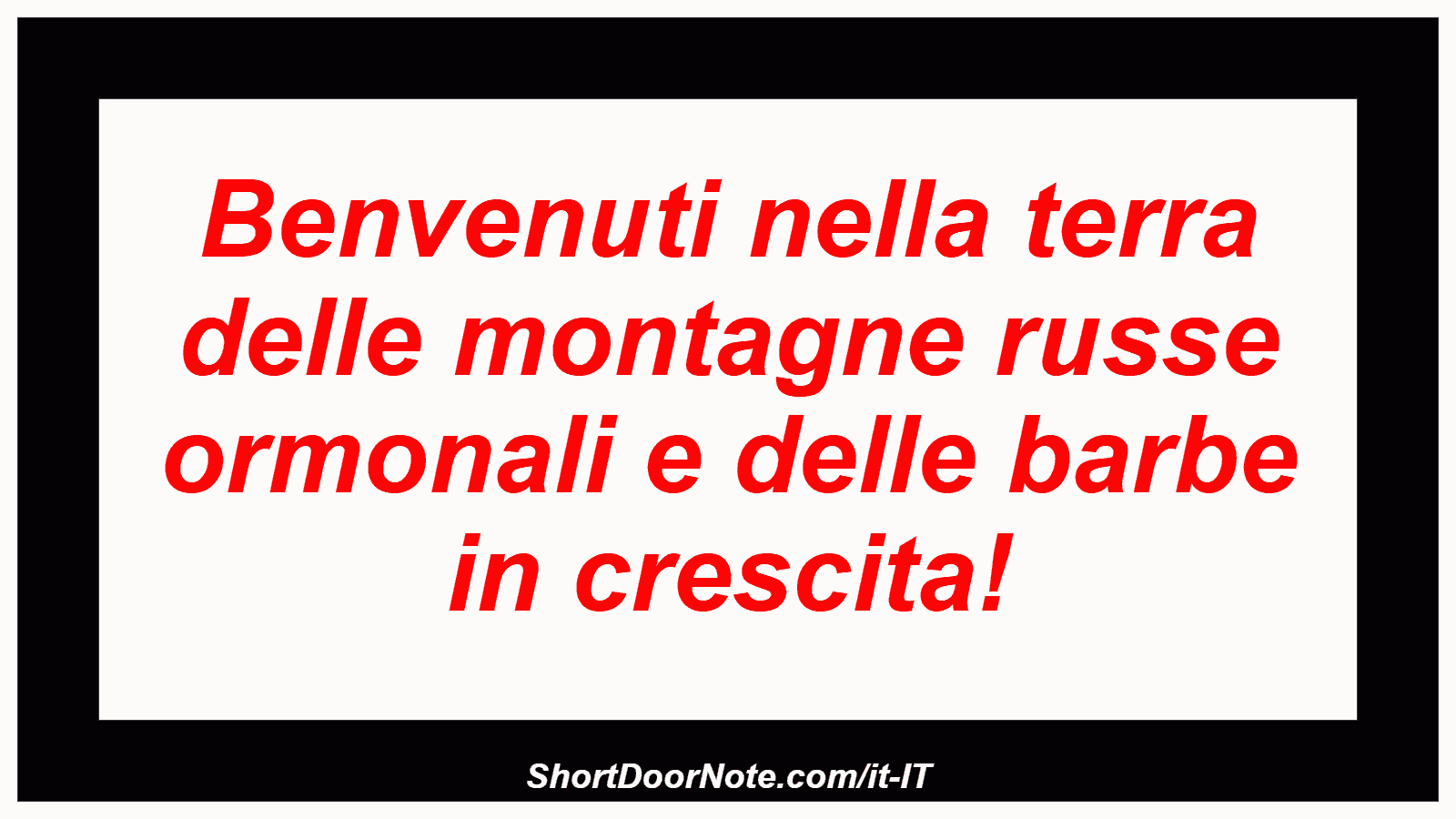Benvenuti nella terra delle montagne russe ormonali e delle barbe in crescita!
