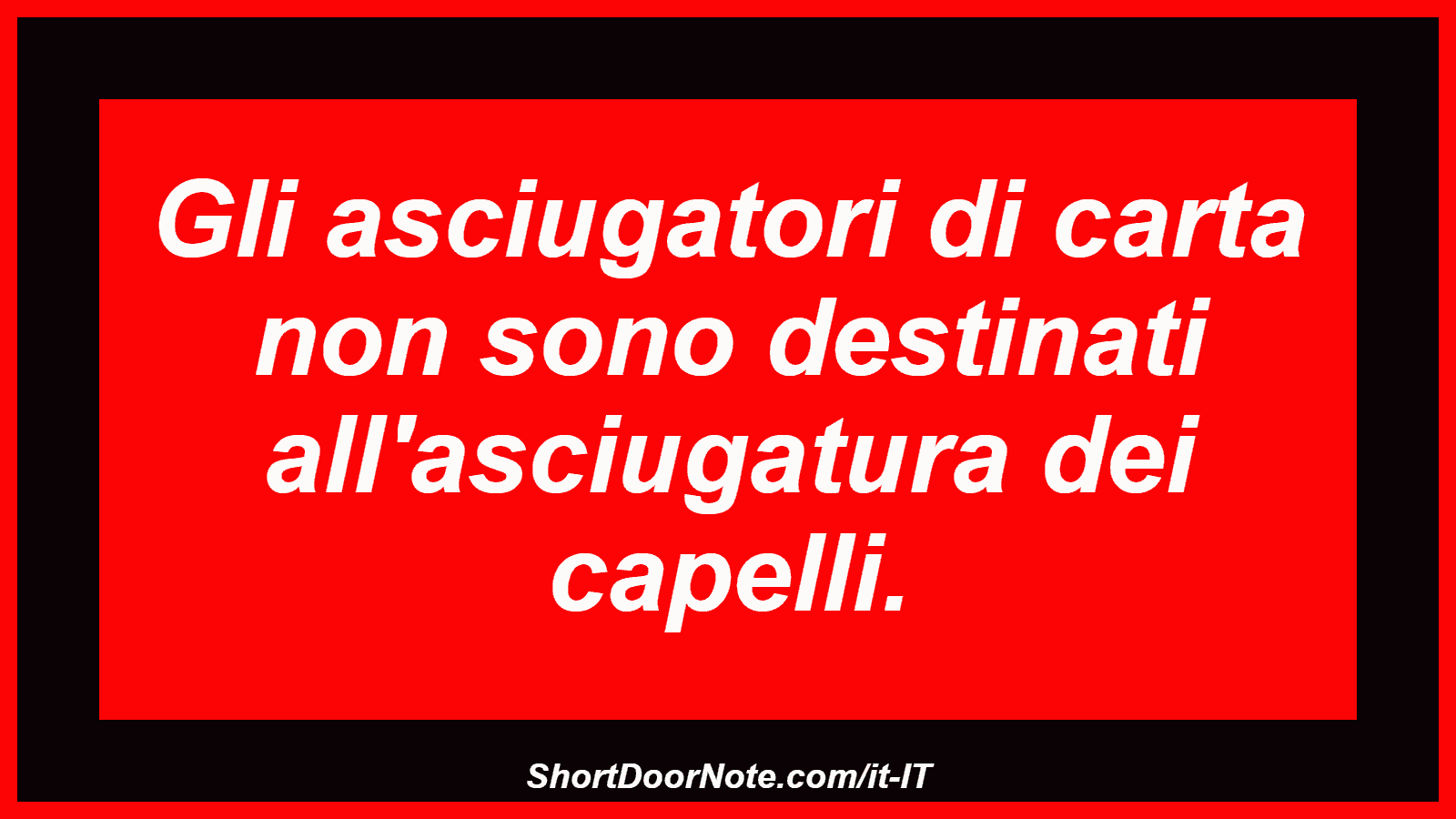 Gli asciugatori di carta non sono destinati all'asciugatura dei capelli.
