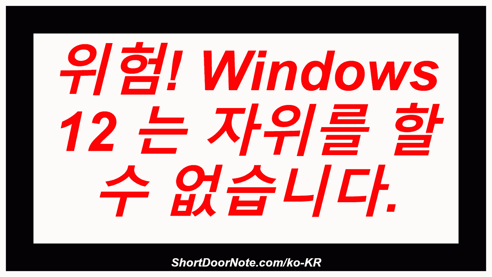 위험! Windows 12 는 자위를 할 수 없습니다.
