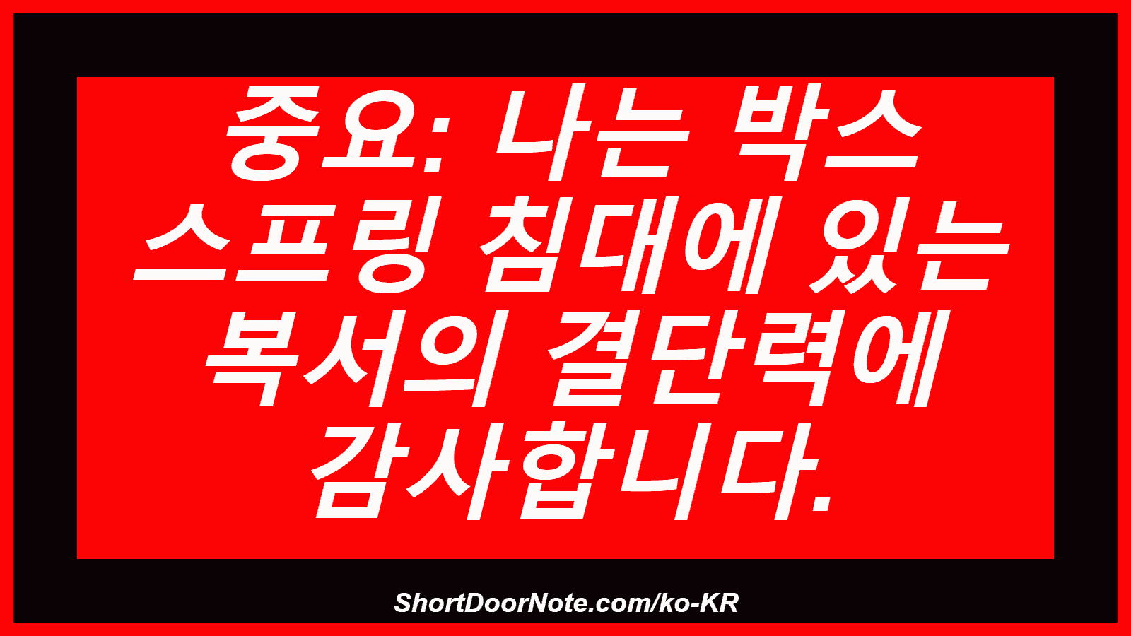 중요: 나는 박스 스프링 침대에 있는 복서의 결단력에 감사합니다.
