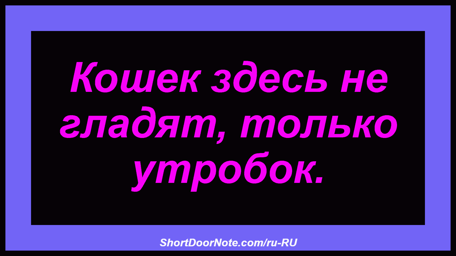 Кошек здесь не гладят, только утробок.
