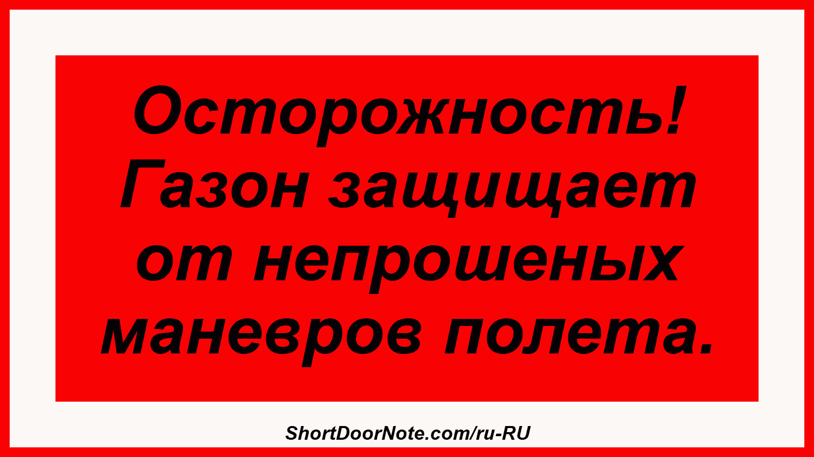 Осторожность! Газон защищает от непрошеных маневров полета.
