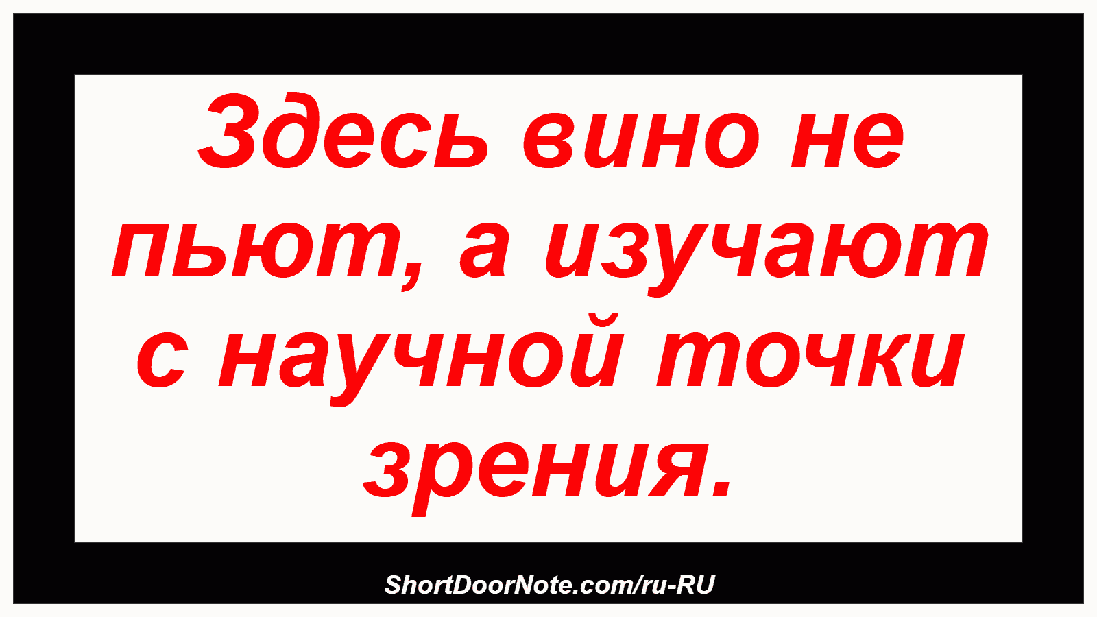 Здесь вино не пьют, а изучают с научной точки зрения.
