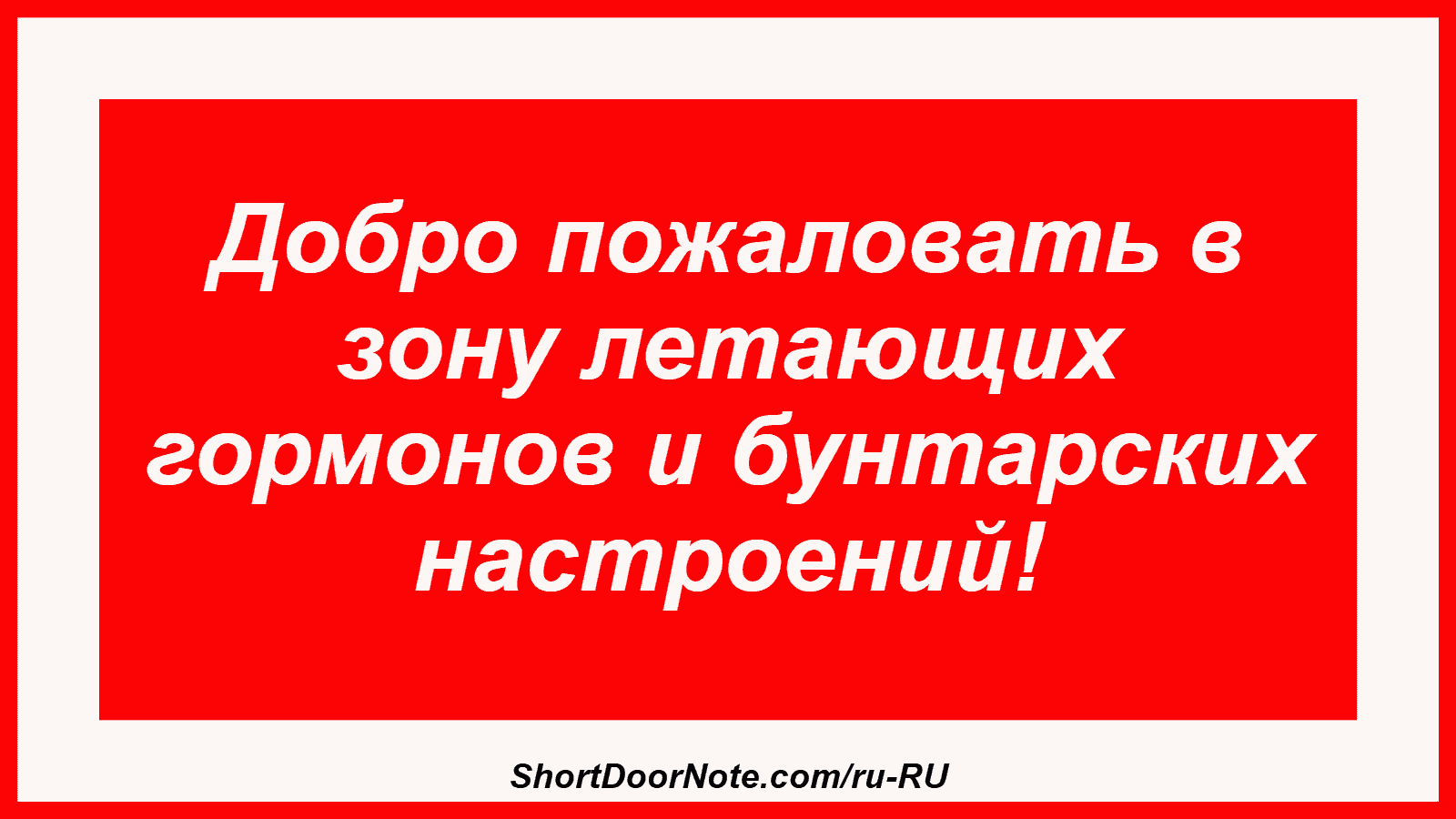 Добро пожаловать в зону летающих гормонов и бунтарских настроений!
