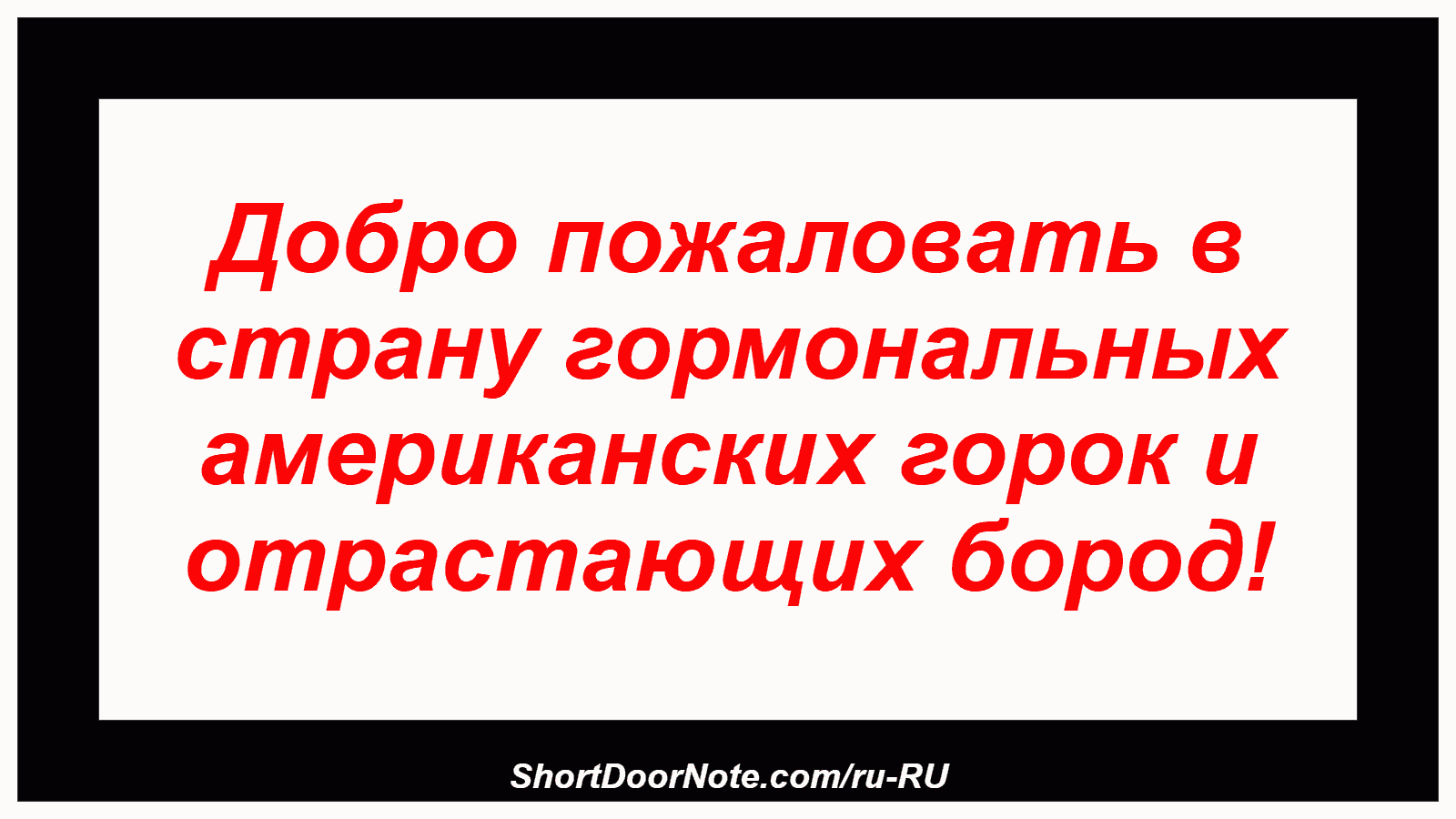 Добро пожаловать в страну гормональных американских горок и отрастающих бород!
