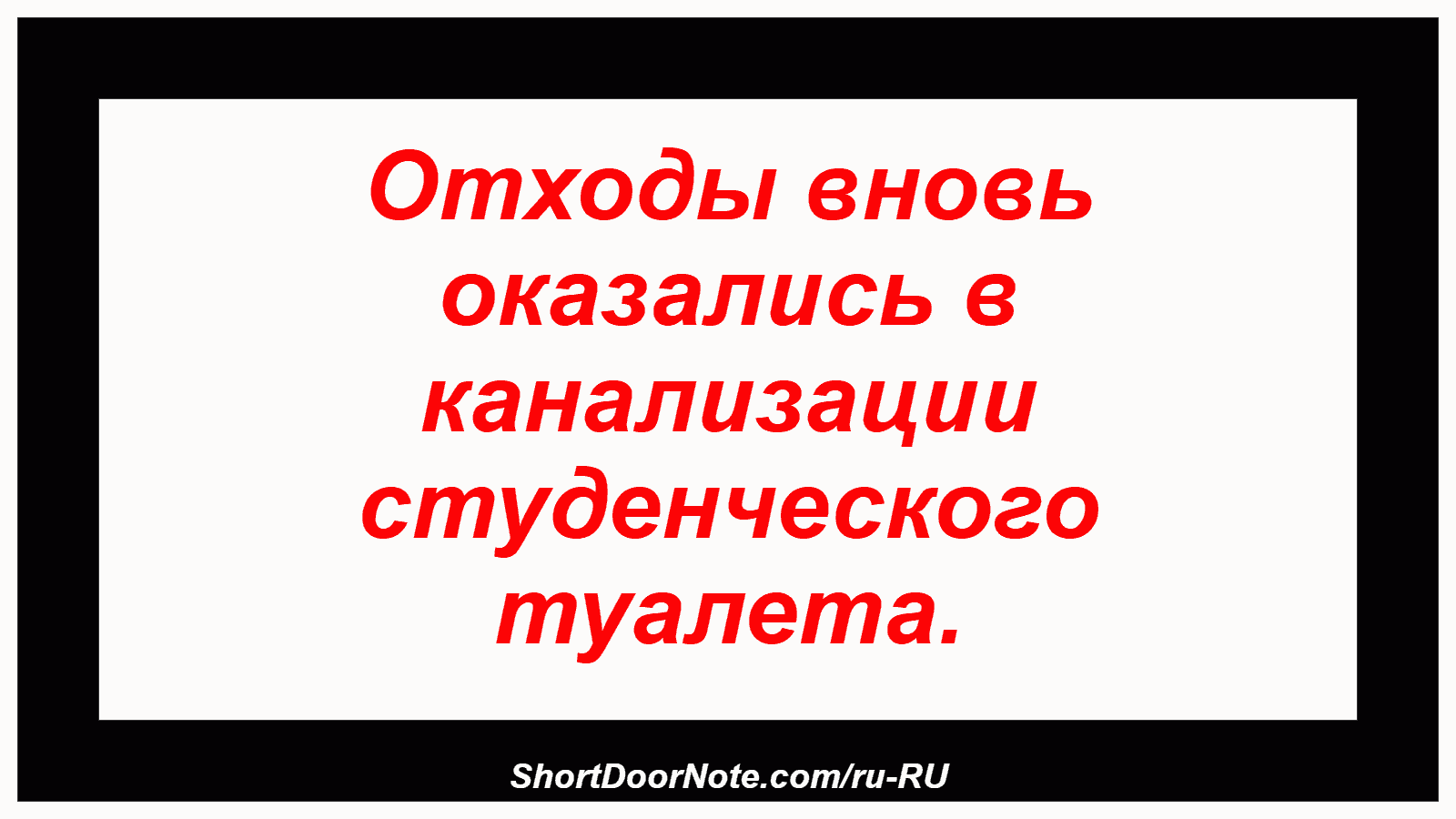 Отходы вновь оказались в канализации студенческого туалета.
