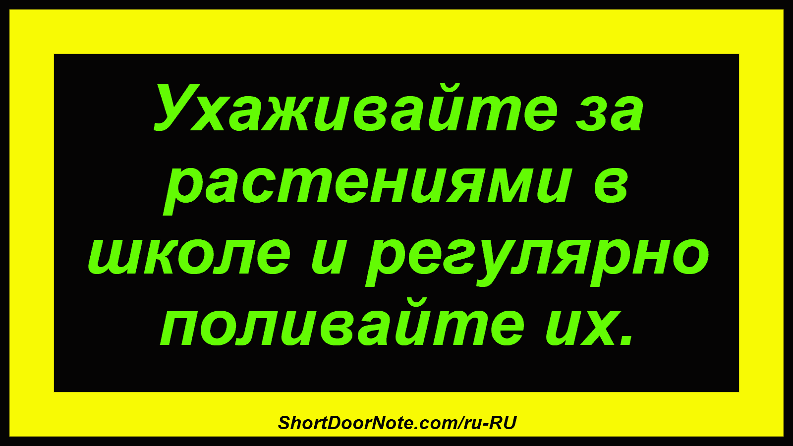 Ухаживайте за растениями в школе и регулярно поливайте их.
