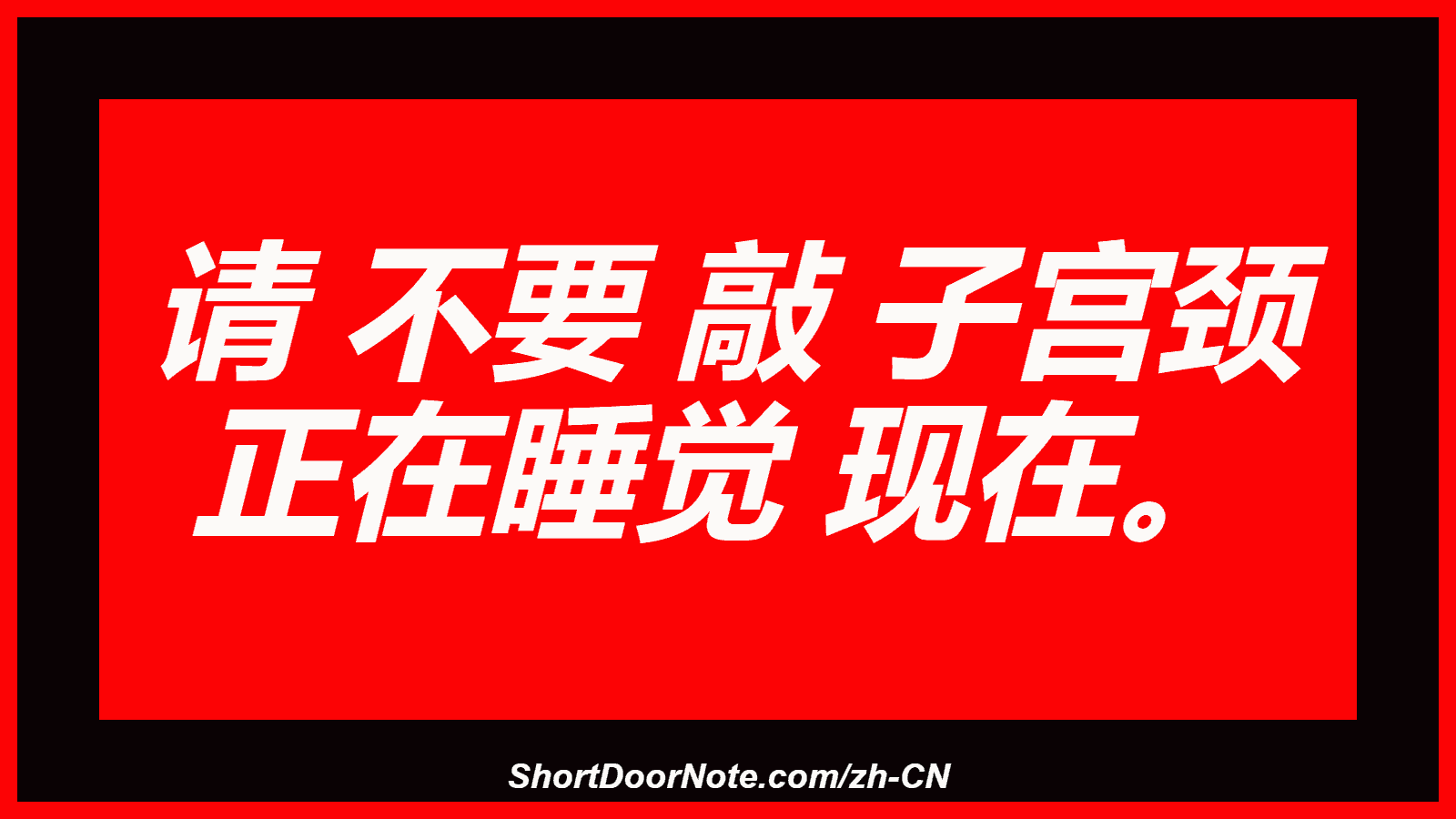请 不要 敲 子宫颈 正在睡觉 现在。
