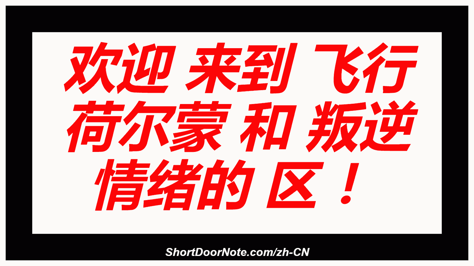 欢迎 来到 飞行 荷尔蒙 和 叛逆 情绪的 区 ！

