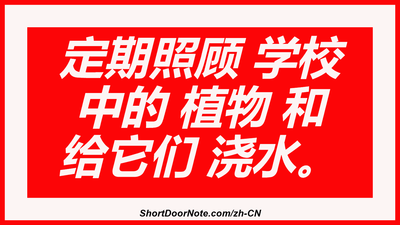 定期照顾 学校 中的 植物 和 给它们 浇水。
