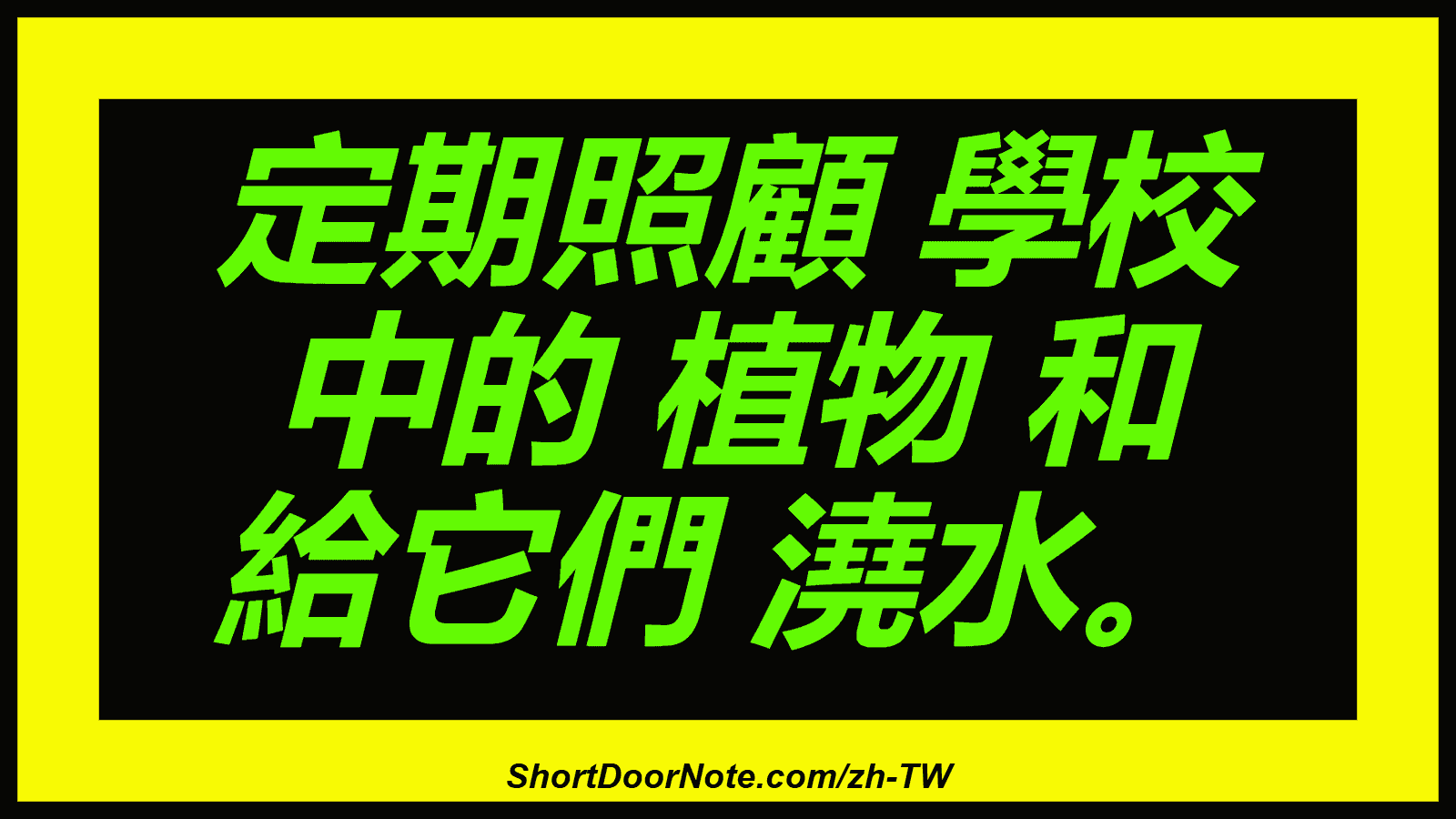 定期照顧 學校 中的 植物 和 給它們 澆水。
